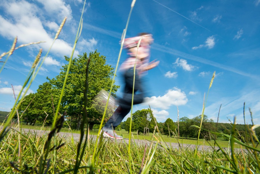 10k, Road, Sky, Sport, Street, Trees, blue, fields, free images, funrun, green, jogging, male, man, marathon, running, runrise, shoes, sprint, trainers, training, 
