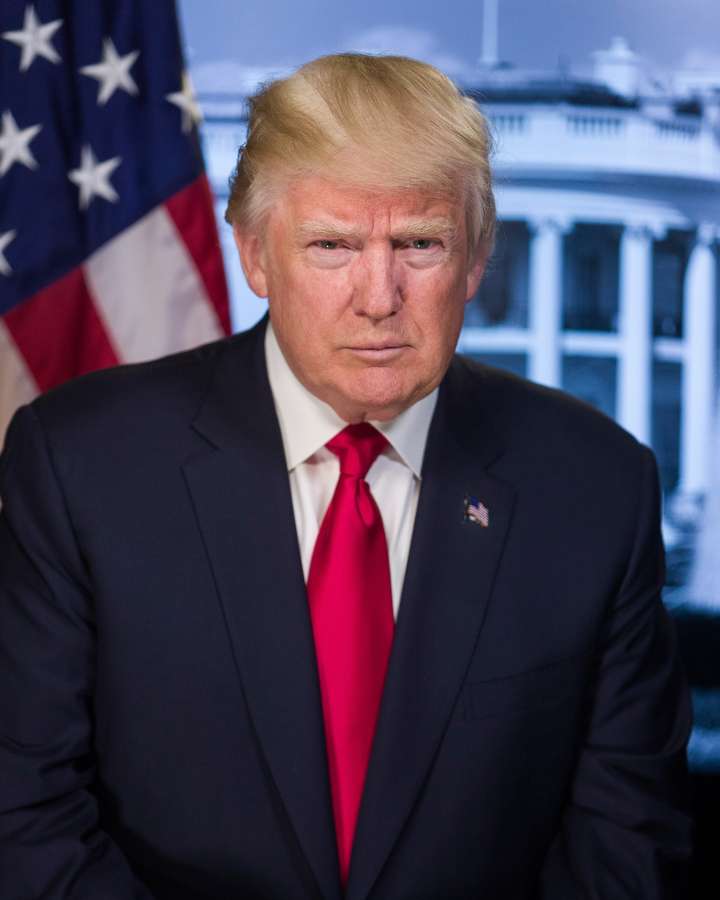trump, illustration, american, donald, america, president, usa, states, design, flag, cartoon, donald trump, presidential, campaign, vector, united, background, government, election, white, candidate, poster, independence, retro, style, art, hair, face, sign, patriotism, political, man, national, isolated, concept, businessman, banner, vote, business, republican, politics, day, fashion, symbol, united states of america, portrait, us, element, politician