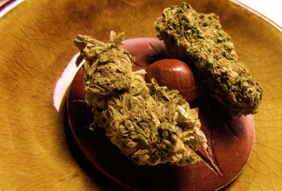 marijuana, drug, mary, addiction, illegal, plant,