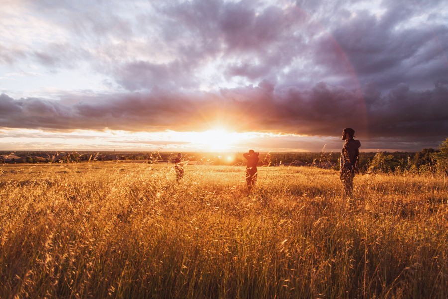 people, young adult, adult, field, outdoor, outside, nature, sunset, landscape, sunset, freedom, concept,