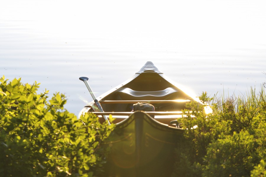 sunset, canoe, boat, river, coast, rowing, relaxation, landscape,