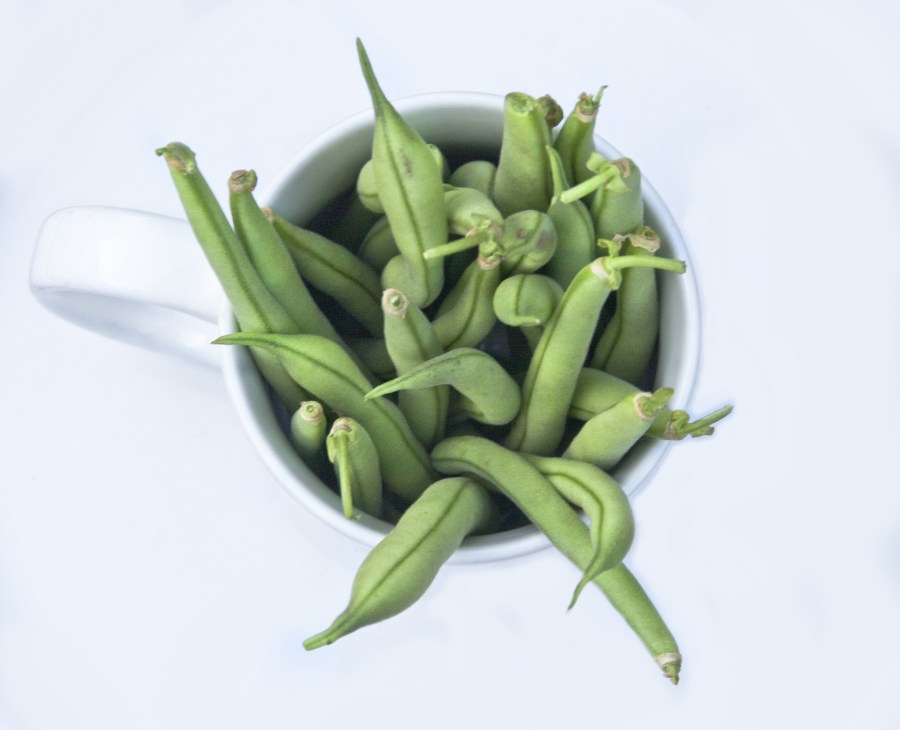 beans, canned, white background, food,