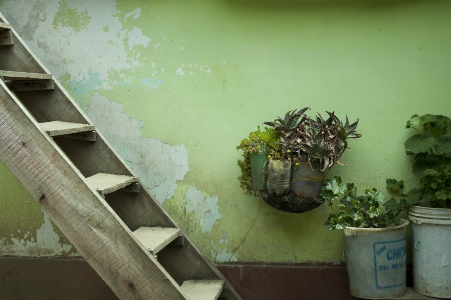 stair, Old, Green