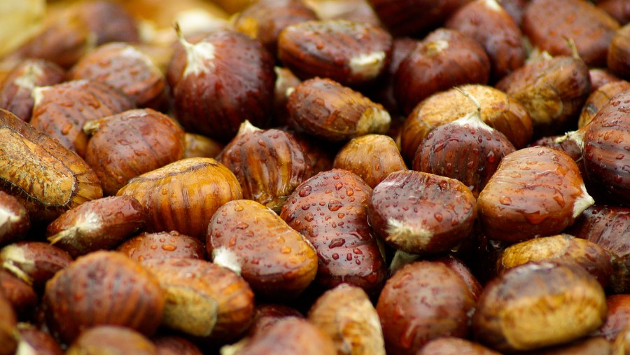 Chestnut, chestnuts, nuts, seeds, close-up, food,