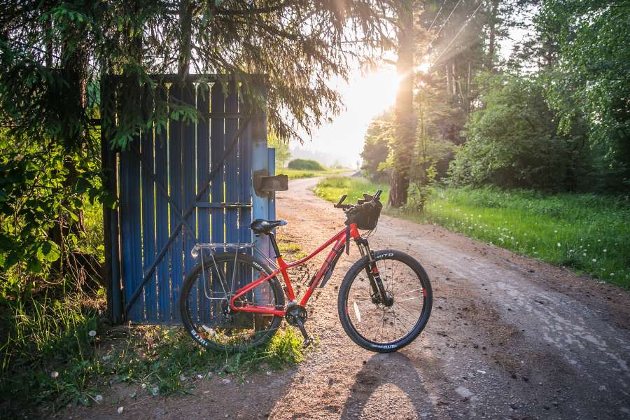 forest, nature, sunny, sun, landscape, summer, green, spring, tree, day, sunlight, travel, sky, rural, sunrise, countryside, grass, scenery, cloud, sunset, wood, park, country, blue, asphalt, freedom, road, speed, highway, dawn, scene, traffic, drive, empty, view, speedway, trip, mountain, light, way, shine, journey, meadow, transportation, freeway, leaves, beautiful, environment, scenic, sunbeam, wild, outdoors, shadow, field, morning, land, russia, roadway, route, transport, horizon, cloudy, outdoor, motion, beauty, nobody, young, track, relationship, sportsman, leisure, together, bicycle, woodland, vacation, adventurer, fit, cycling, caucasian, riding, fitness, bike, exploration, line, athletic, sport, adult, sunshine, colors, springtime, plant, ray, healthy, adventure, biker, activity, cyclist, recreation, dirt, lifestyle, sportswear, biking, well-being, female, non-urban, moss, misty, rays, deep, peaceful, mist, pine, moisture, hike, sunrays, trees, flora, beam, path, old, woman, magic, haze, fog, magical, destination, street, plants, sportswoman, couple, foggy, hiking, clearing, lane, bright, scenics, beautiful gardens, construction, daybreak, driving, herb, daylight, lawn, evening, gardening, colorful, sundown, garden, landscaped, car, thoroughfare, curve, grassland, protection, fir, down, main, wide, perspective, season, fast, hill, side, avenue, pack, hydration, foliage, leafy, autumn, fall, natural, long, mid, man, male, glade