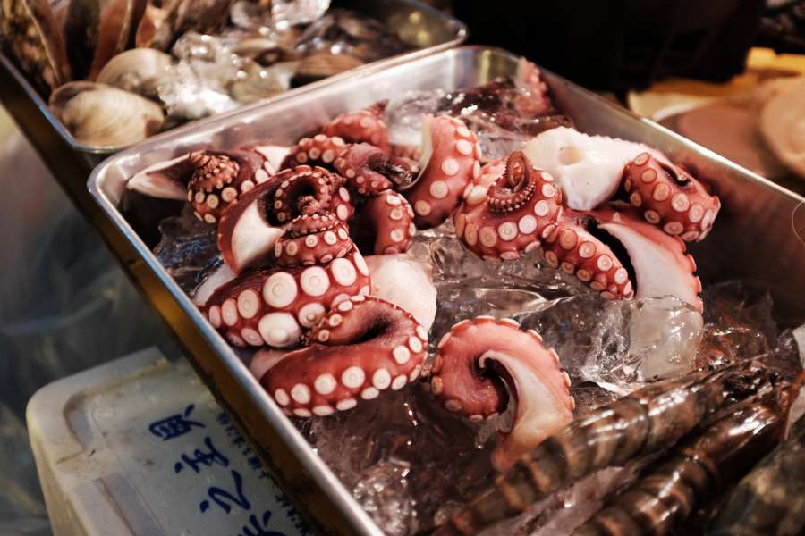 octopus, seafood, food, ice, restaurant, close up, fresh, meditarranean food, 