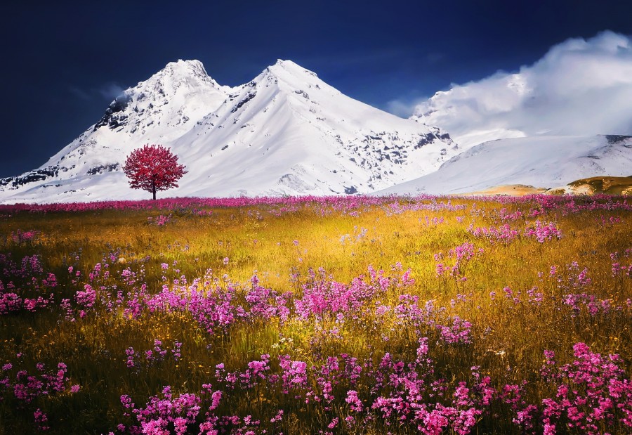 alps, swiss, switzerland, europe, mountain, snow, snow, landscape, countryside, spring,