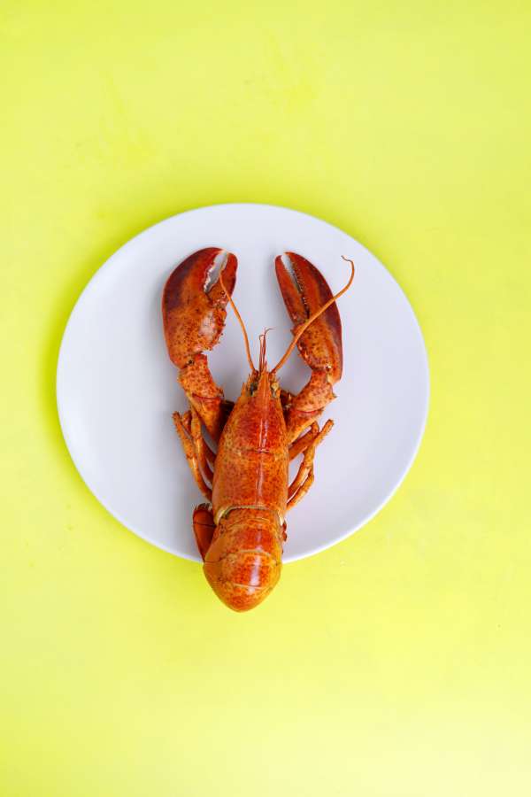 lobster, food, plate, dinner, gourmet, seafood, cooked, meal, cuisine, dish, grilled, delicious, shellfish, fresh, restaurant, sea, lunch, red, closeup, healthy, background, cooking, crustacean, shell, luxury, expensive, traditional, grill, tasty, lemon, eat, vegetable, whole, fish, dining, steamed, tail, claw, meat, crayfish, crab, black, delicacy, culinary, freshness, ocean, shrimp, white, sauce, prawn