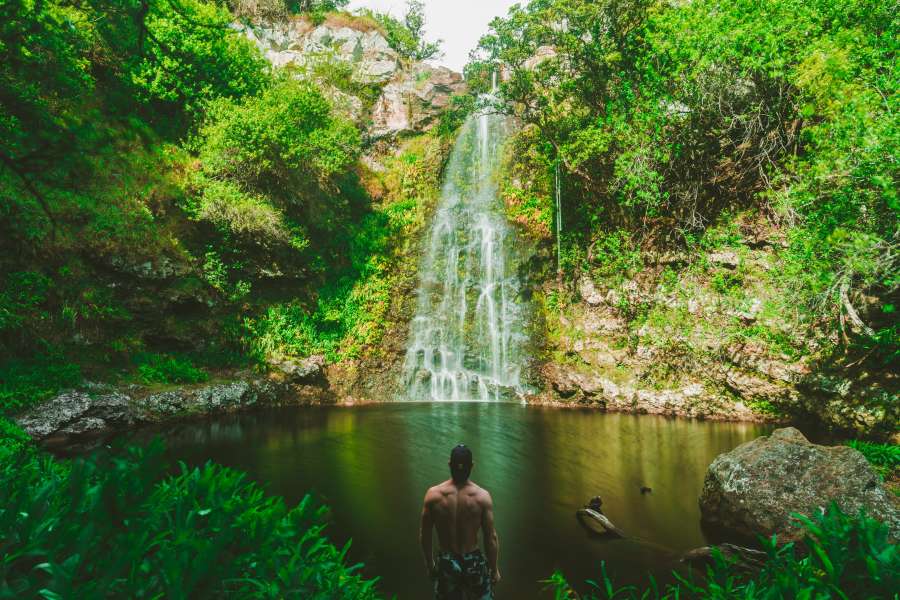 hawaii, hiking, nature, adventure, mountain, travel, landscape, green, green jungle, waterfalls, blonde woman, island, hike, volcano, warm, blue, hawaiian mountains, girl sitting, hawaiian volcano, hawaii jungle, fog, island mountain, road, man, cold, water, outdoor, tourist, waterfall, river, wild, mountains, woman, tourism, vertical, moody, clouds, rainy waterfall, man, back, hawaiian waterfall, hot, 