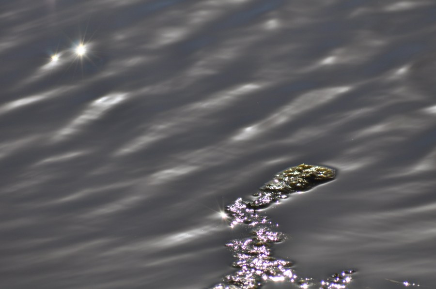 Texture, Textures, Water Reflection Lake 