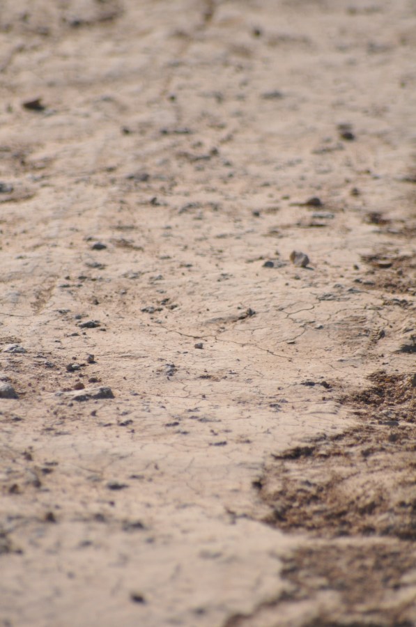 Texture, Textures, earth, dry, brittle, cracked, Arid, Land, Brown, Cracked, Arid Landscape, Backgrounds, Drought 