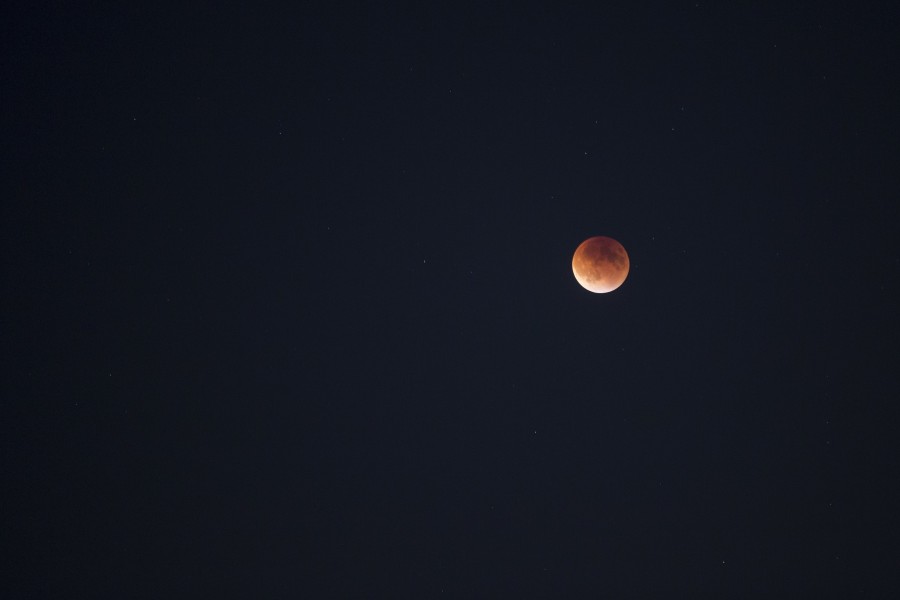 phase, lunar, phases, moon, red, red, moon, star, stage, stages, eclipse, background, black, astrology, concept,