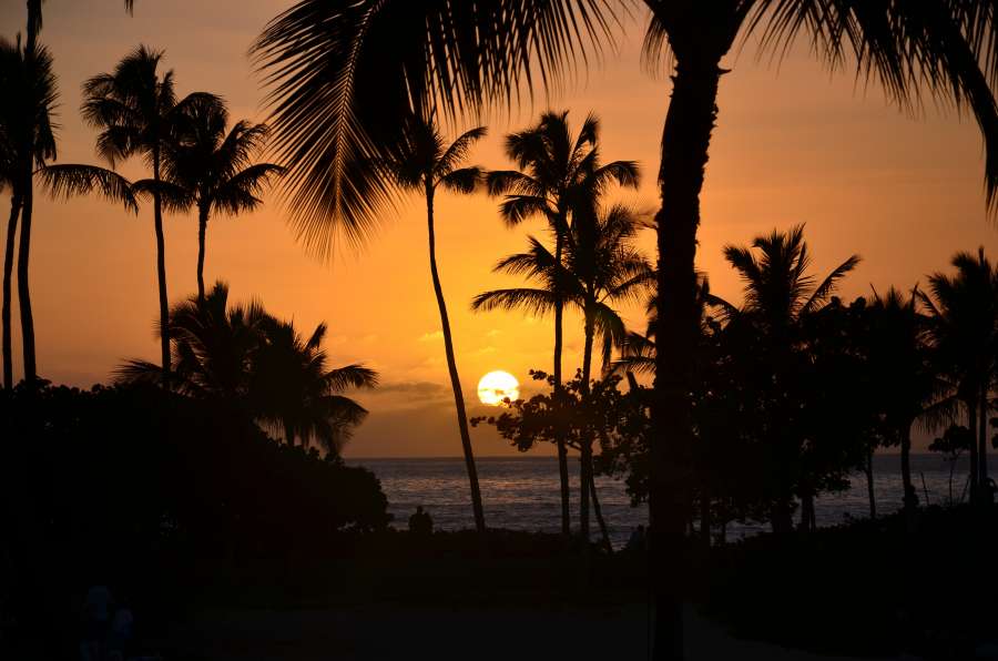 caribbean, travel, sunset, landscape, vacation, beach, paradise, nature, sea, island, ocean, tropical, summer, water, sun, sand, background, palm, sunrise, resort, sky, sunny, tourism, coconut, exotic, beautiful, tree, coast, holiday, sunlight, tropic, seascape, shore, scenery, coastline, idyllic, hawaii, relax, bali, outdoor, bahamas, evening, barbados, thailand, trees, cloud, leaf, scenic, lagoon, romantic