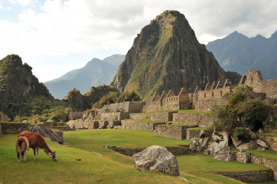 Machu Picchu, Machu Pichu, Peru, America, Latina, Latino, Mountain, Landscape, Day, Tourist Resort, Tourism, wonder, civiliacion, Inca ruins, ruin,