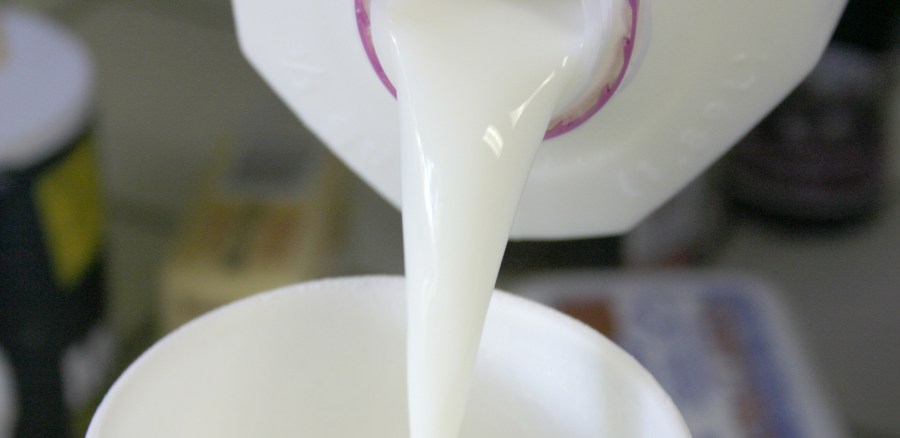 milk, bottle, serving, snack, breakfast, healthy, staple, white, drink,