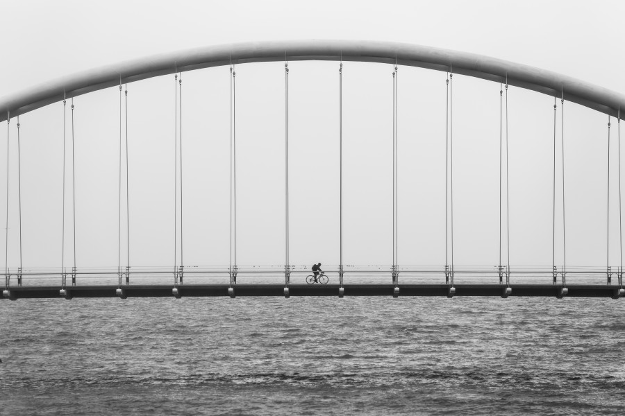 architecture, bridge, urban, landscape, outlook, black and white, cycling, bicileta, a person, man,