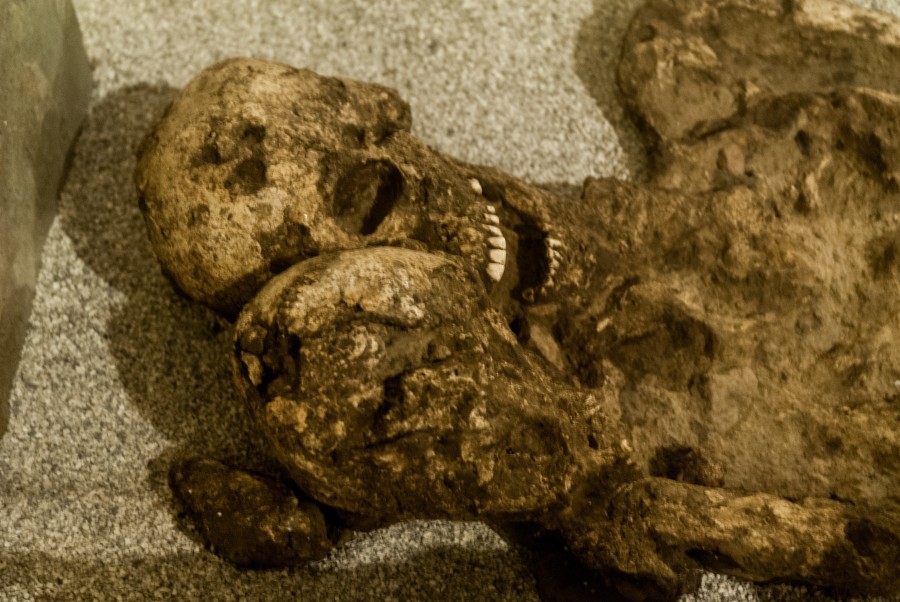 mummy, skeleton, fossil, human, bone, bones, archeology, museum,