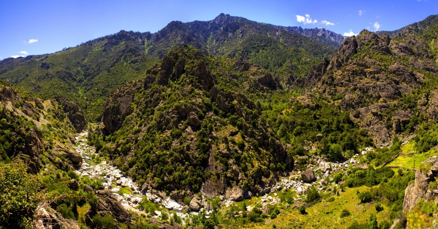 Corsica, france, nature, river, landscape, mountain, grass, rest, water, free photos, free pictures