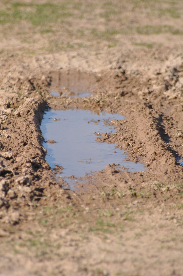 Texture, Textures, earth, dry, brittle, cracked, Arid, Land, Brown, Cracked, Arid Landscape, Backgrounds, Drought, puddle, water, mud 