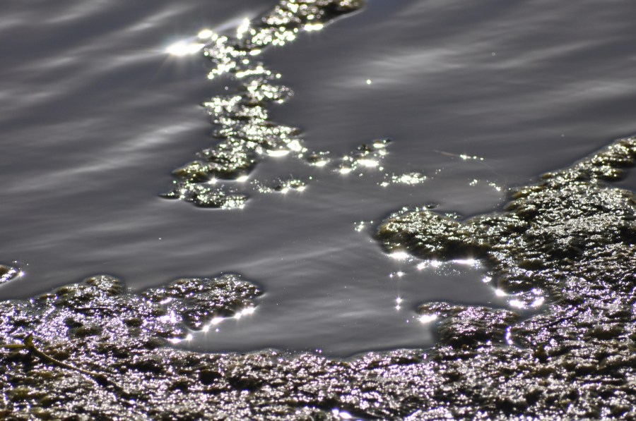 Texture, Textures, Water Reflection Lake 