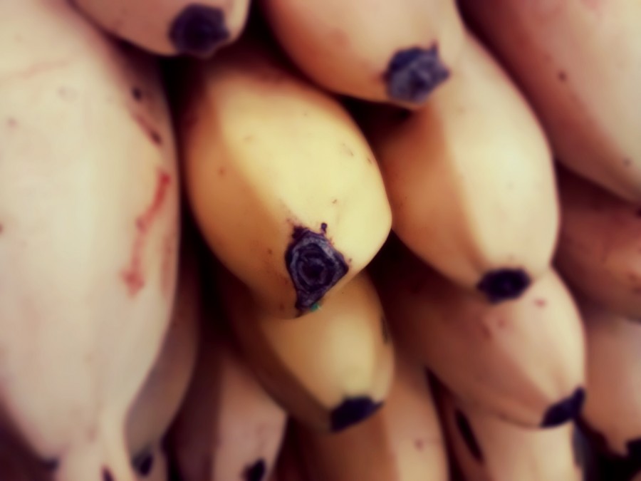 banana, bananas, fruit, close-up,