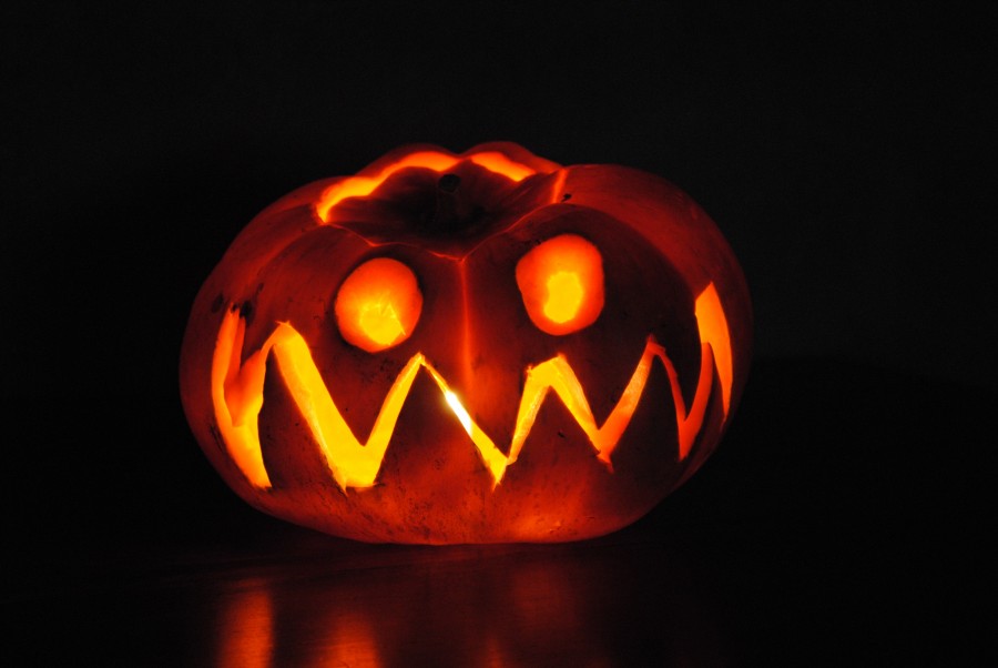 Halloween, pumpkin, horror, light, nobody, fear, illuminated,